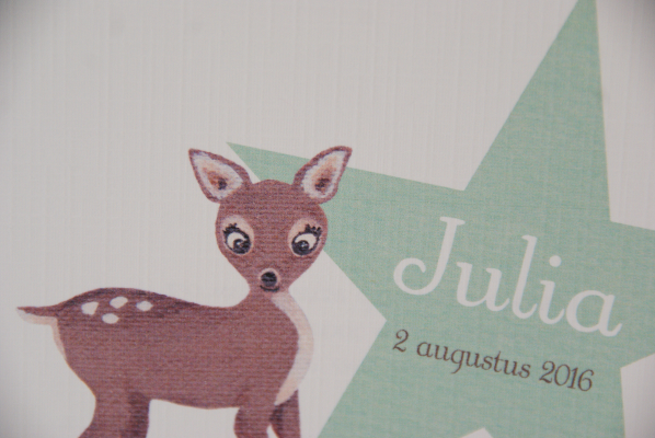 geboortekaartje julia lichtgroen 